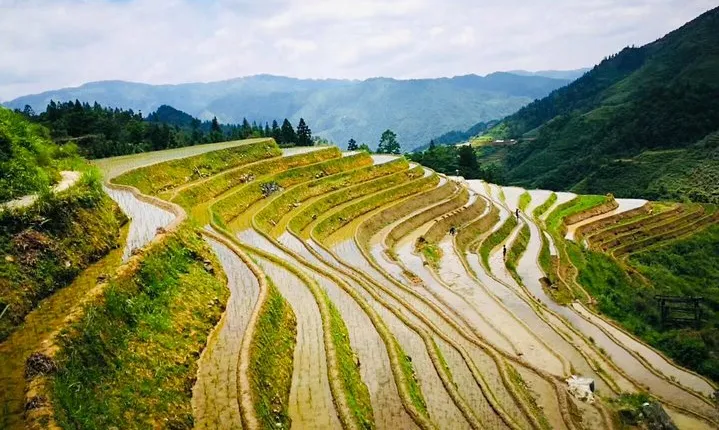 Private Day Tour to Longji Rice Terraces from Yangshuo