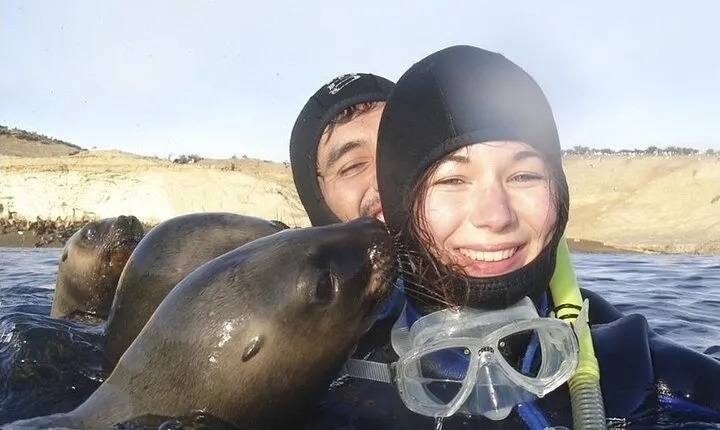 Snorkeling with Sea Lions and Wildlife Adventure