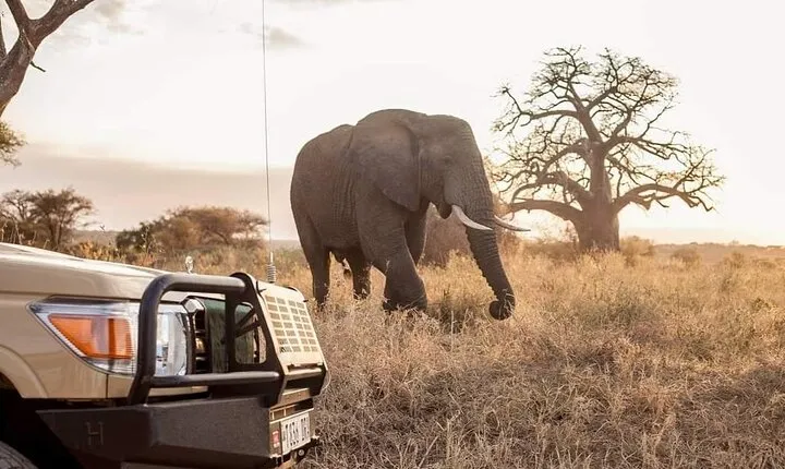 Private Tarangire National Park Day Tour
