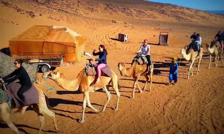 Tour: 2 Days Tour From Marrakech To Draa Valley and Kasbahs