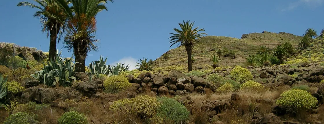 Hike to La Fortaleza