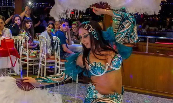 Bosphorus Sightseeing Cruise with Turkish Live Show and Dinner