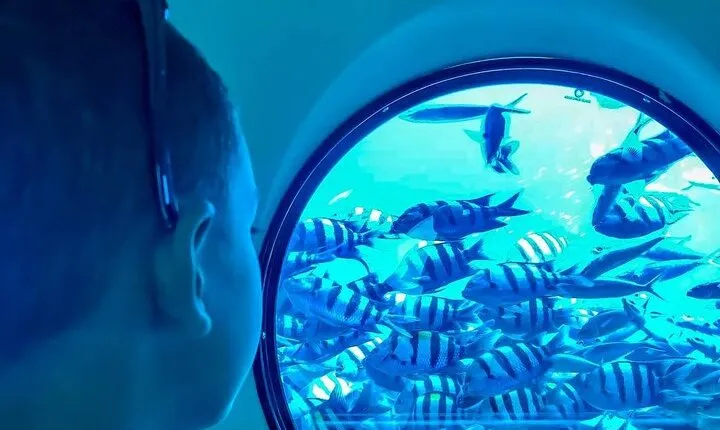 2 Hours Semi Submarine & Snorkeling Adventure :Marsa Alam