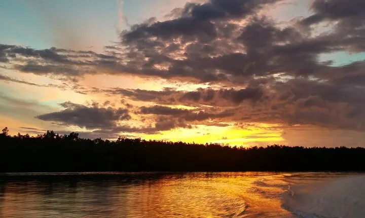 Mangrove Cruise with Fireflies Tour Including Dinner from Sandakan