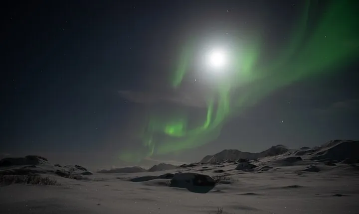 Lofoten Islands Northern Lights Tour - Private