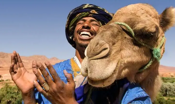 Marrakech Camel Ride