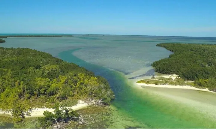 Six Fins Marquesas Keys Eco Adventure – Private Full-Day Charter