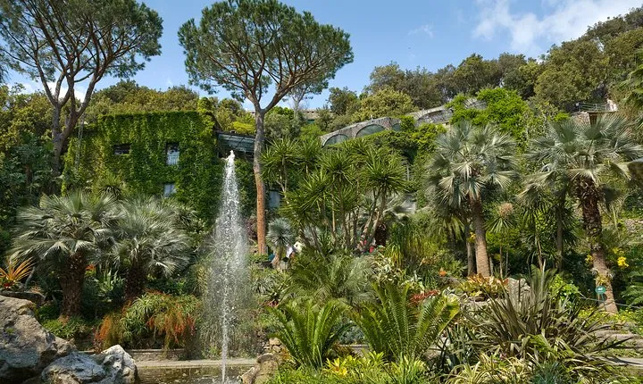 Guided tour of La Mortella Gardens
