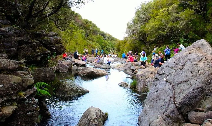 Walk - Madeira lakes