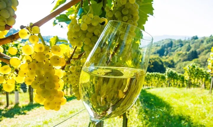St Paul de Vence, Antibes & Wine Tasting from Cannes