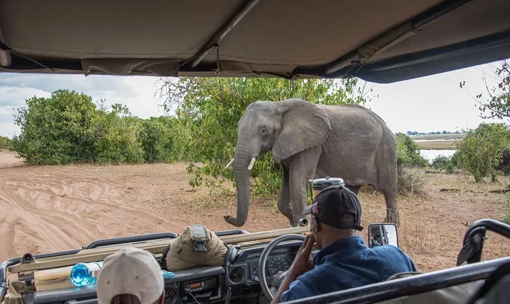 From Livingstone, Victoria Falls or Kasane - Chobe Day Tour