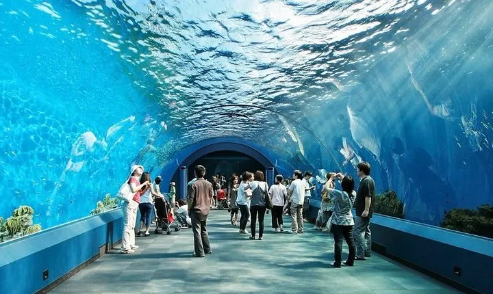 Underwater World at Pattaya Admission Ticket with Return Transfer