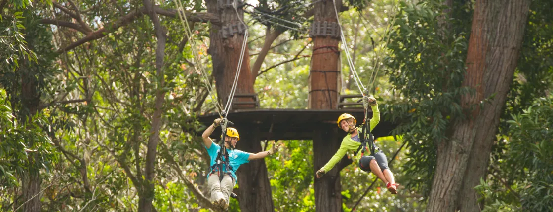 Kohala zipline canopy adventure