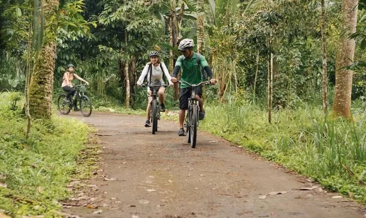 Kintamani to Ubud Downhill Bike Tour with Lunch
