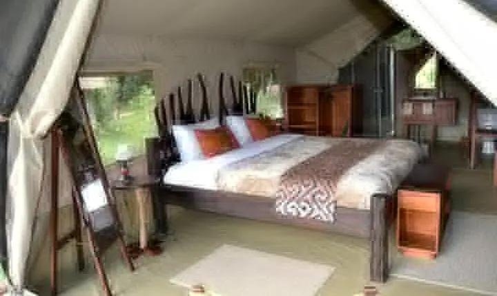 2 Days Masai Mara Flying Safaris in Kenya