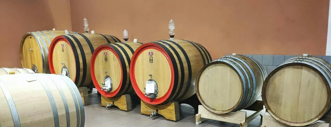 Wine Tasting Experience in the South Slope of Etna