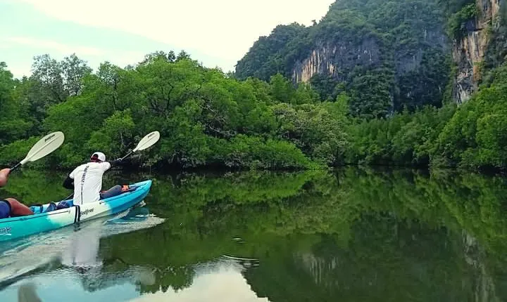 Krabi: Kayaking Tour at Ban Bor Thor Ancient Cave & Mangroves