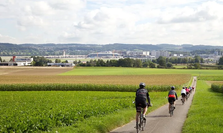 11-Day Private Lite Tour Across Switzerland by Bike from Geneve