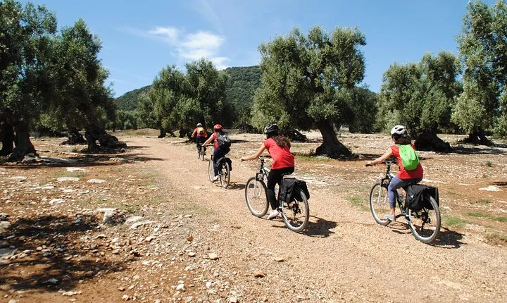 Bike oil tour in Monopoli