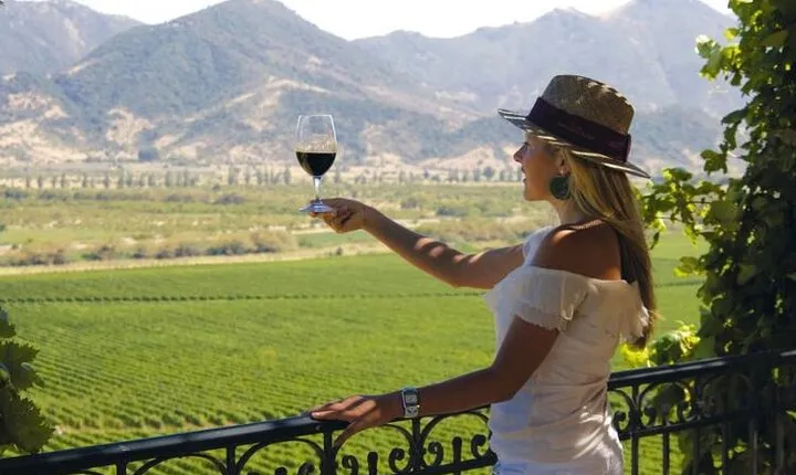 Exclusive Half Day Tour of Winerie Concha y Toro from Santiago