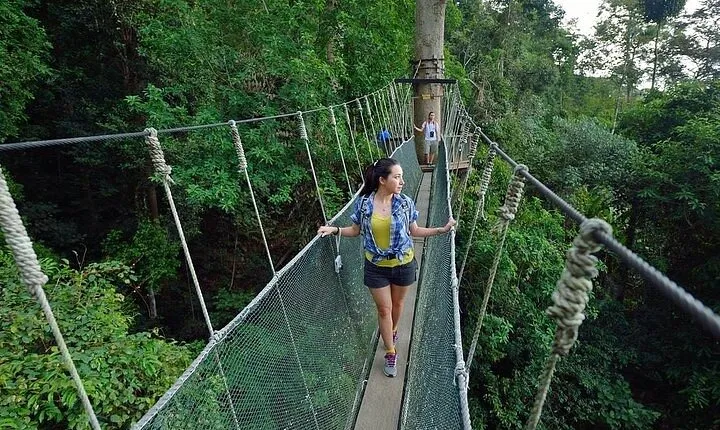 Poring Hot Springs Tour from Kota Kinabalu including Treetop Canopy Walk