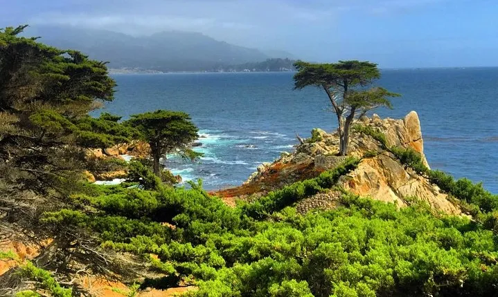 Carmel / Monterey Hwy 1 tour