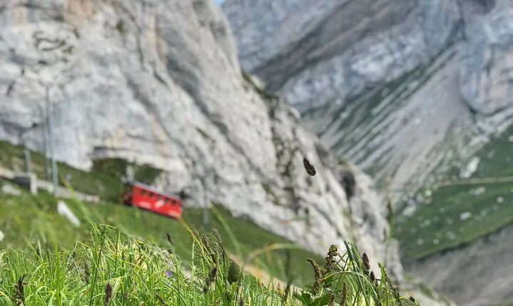 Basel Private tour - Mt. Pilatus and Cruise on Lake of Lucerne