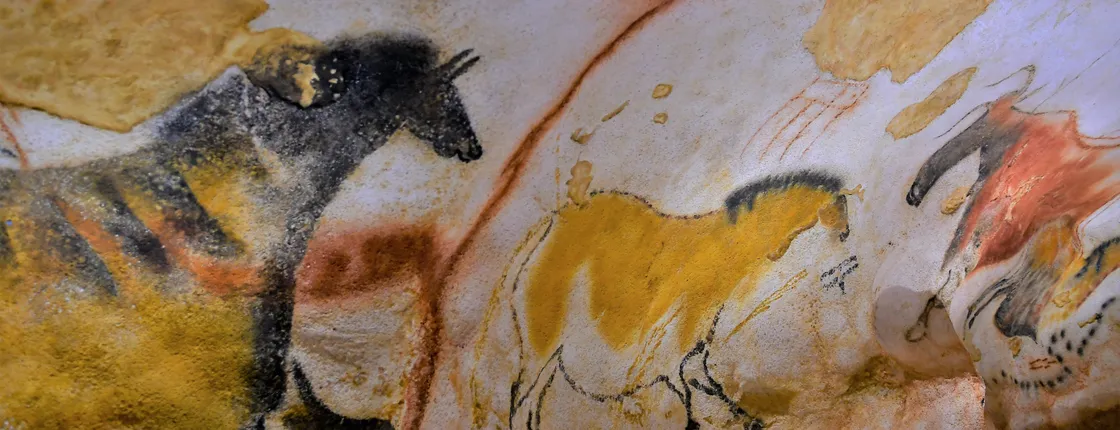 Daily shared tour of the Paleolithic art of Dordogne