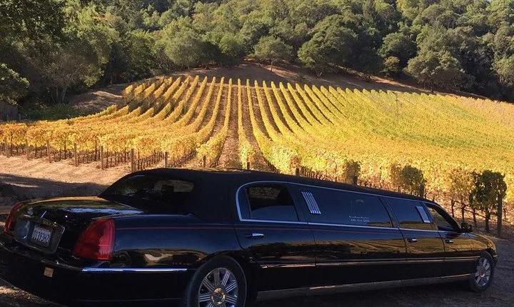 6-Hour Luxury Napa Wine Tasting Tour with Route Planning