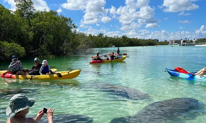 Guided Island EcoTour: CLEAR/Standard Kayak, SUP - Bonita Springs