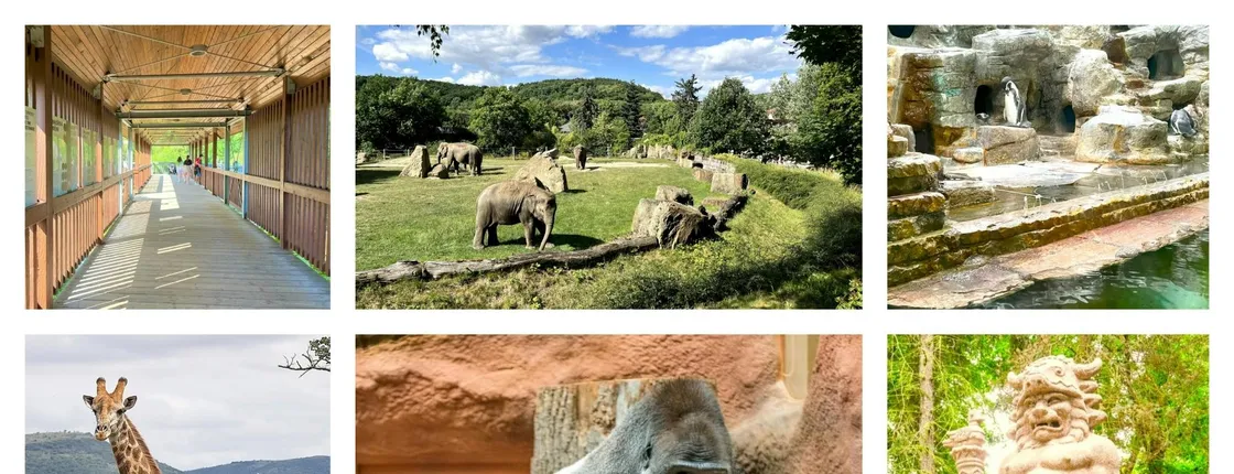 Self-guided online audio tour of Prague Zoo