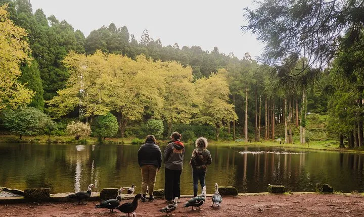 From Angra: Terceira Island Full-Day Tour (Private)