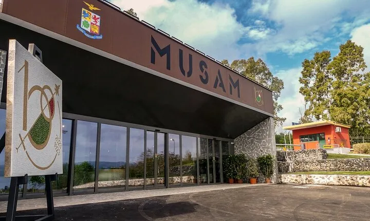 Italian Air Force Historical Museum Entrance Tickets