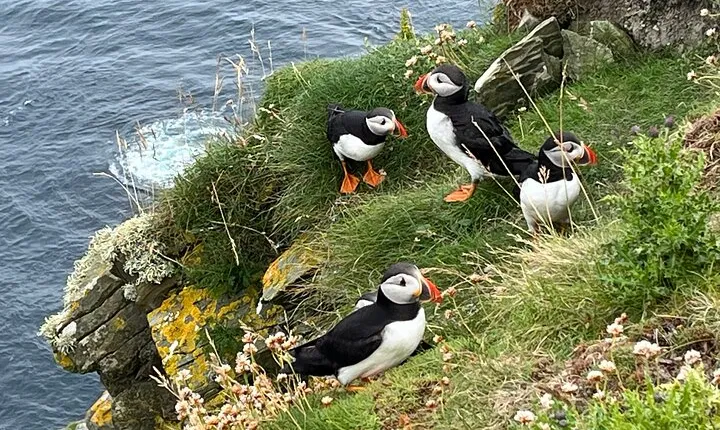 Shetland South Mainland Tour St Ninian Isle and Jarlshof