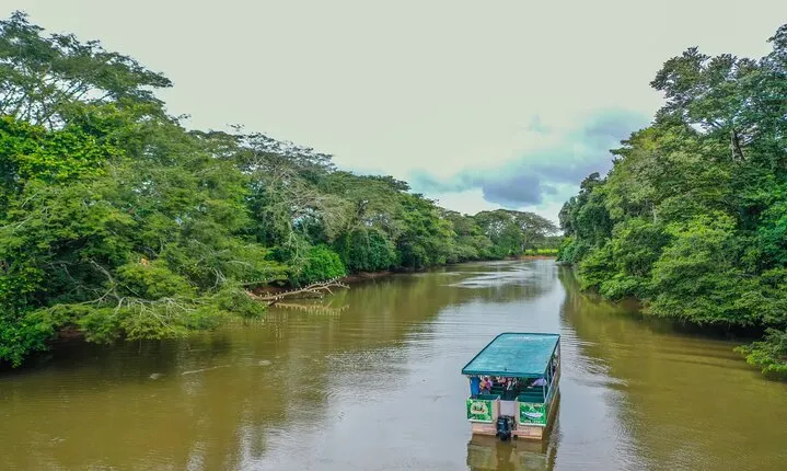 Full-Day Caño Negro Wildlife Refuge Boat Tour