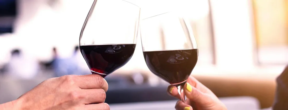 Rhine Falls circular river cruise with wine tasting