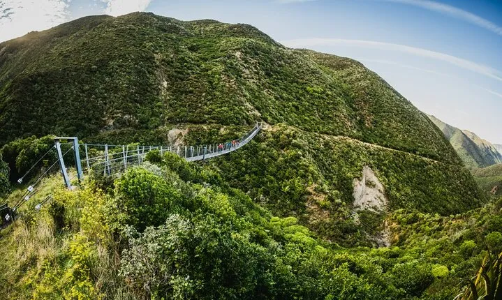 Remutaka Rail Trail Mountain Bike Explorer Cycle Tour