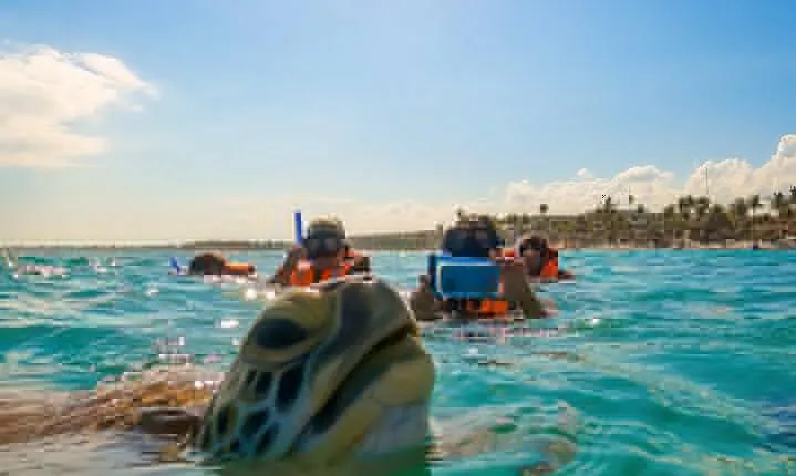 Private Tulum Akumal Cenotes Experience