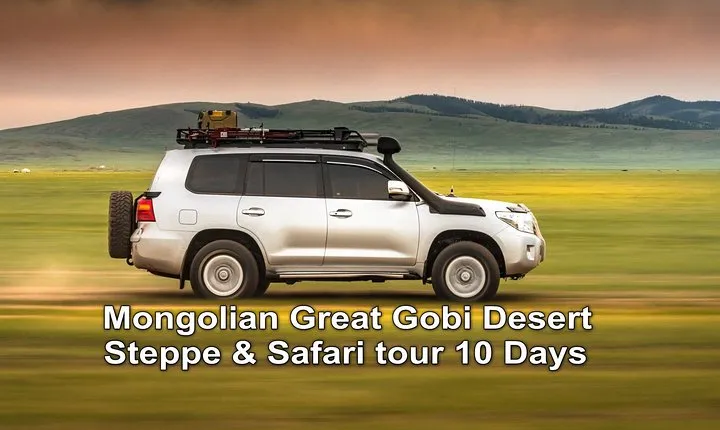 Mongolian Great Gobi Desert , Steppe & Safari tour 10 days