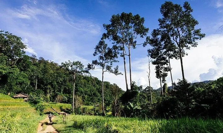 Rural Explorer Mountain Biking Tour Chiang Mai