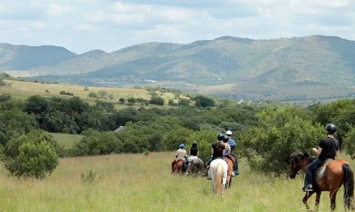 Harties Horse Trail Safari Half day