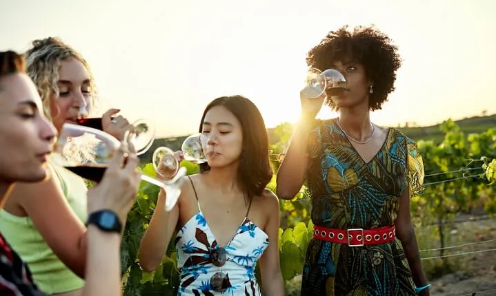 Vistas and Wines: Adelaide’s Gems and Wine Private Tour