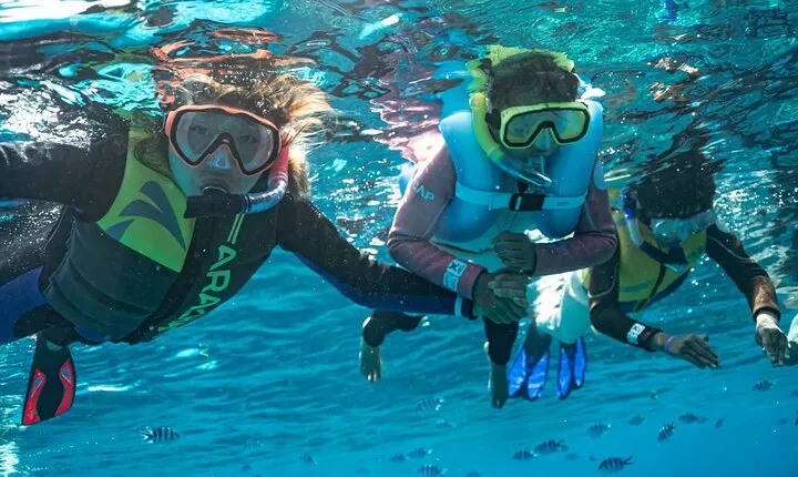 Kuata Island Marine Conservation Experience with Lunch