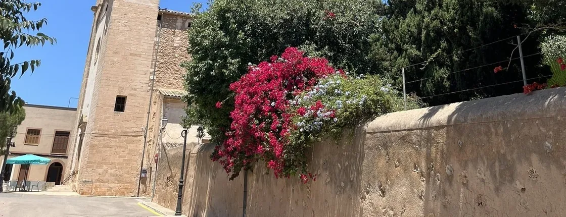 Bedebe Tours Majorca Charming Villages VIP Tour