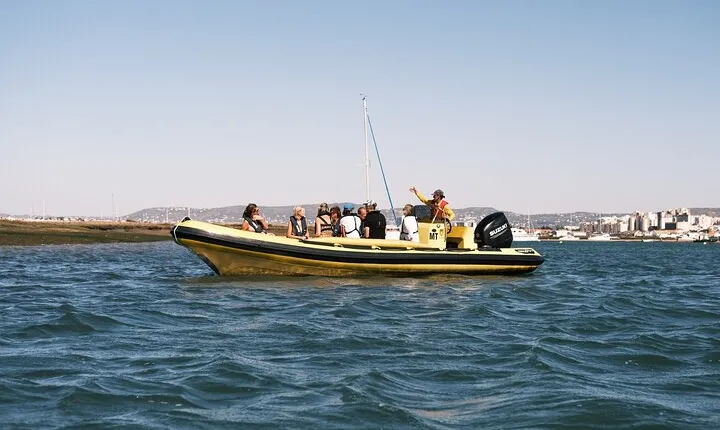 From Faro: Ria Formosa Eco Tour guided by Marine Biologist
