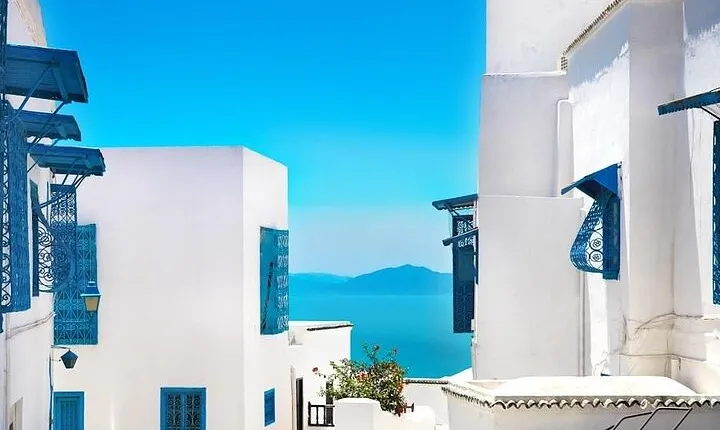 Private tour: Medina,Carthage ,Sidi Bou Said, Bardo Museum+lunch