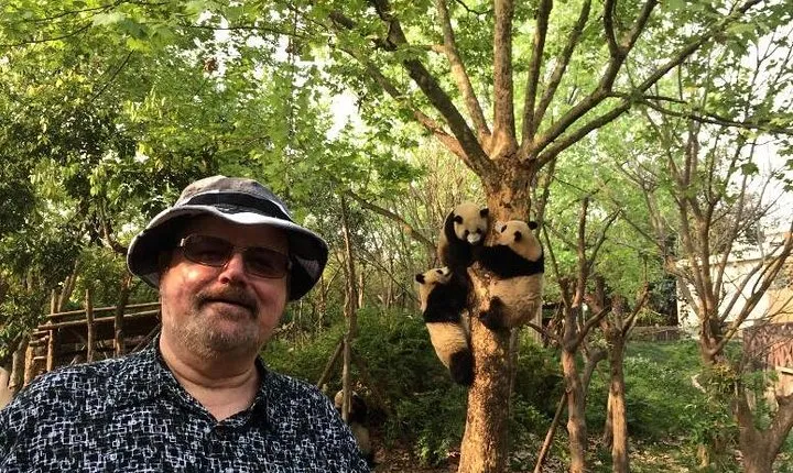 Chengdu Private Day Tour: Giant Panda Base and Qingcheng Mountain