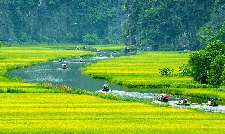 Amazing Ninh Binh Full Day: Hoa Lu - Tam Coc (VIP tour: group 7 people)