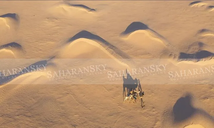 3-Day Tunisia Sahara Desert Camel Trek from Douz