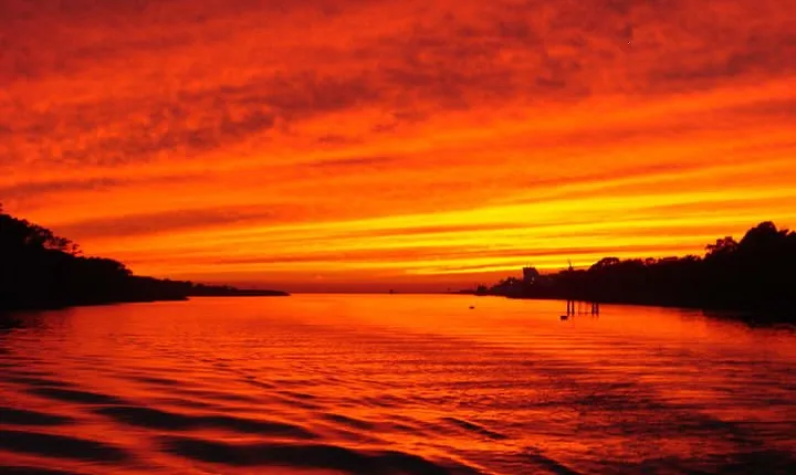 Dinner Cruise with Dolphin Watching from Cape May